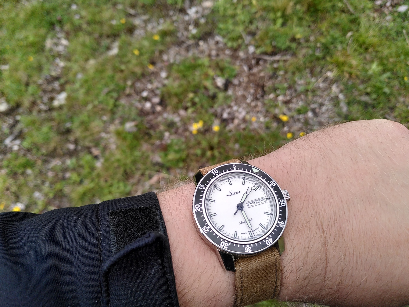 Sinn 104 on a (wet) canvas NATO strap on a hiking tour